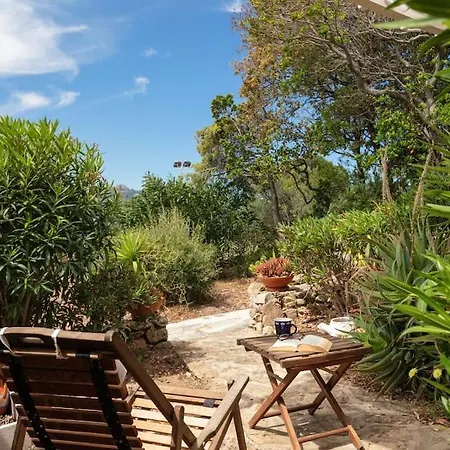 Coralli On The Hill - Shared Pool * Olbia
